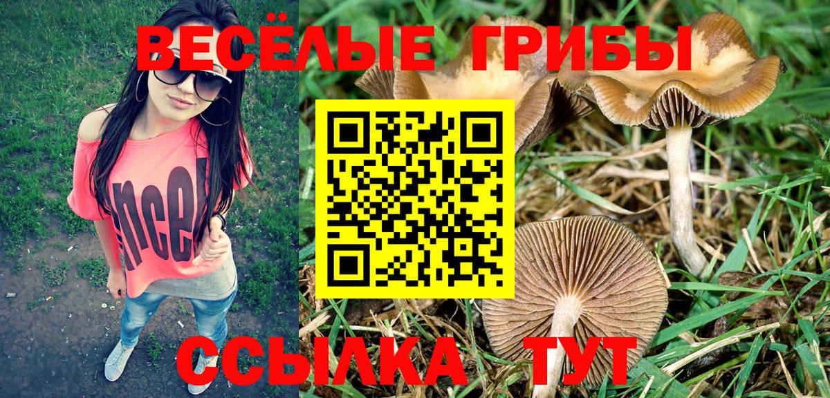 Киров  Канабис  Меф МЯУ МЯУ   Вход с VPN  Амфетамин кристаллы  ГАШ  МЕФ  А ПВП СК   Гашиш 