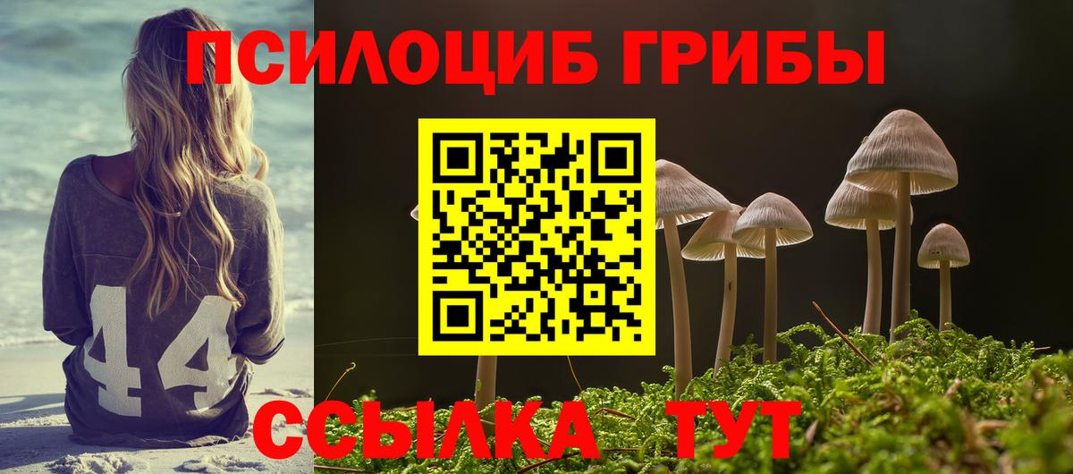 Псилоцибиновые грибы мухоморы  Вход с VPN  Киров 